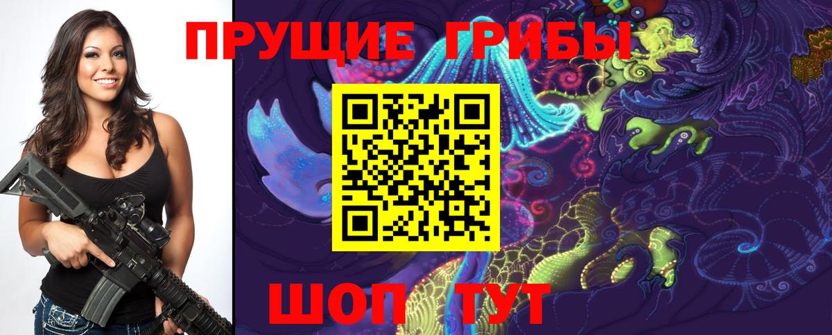 Апшеронск  Галлюциногенные грибы GOLDEN TEACHER  Вход с VPN 